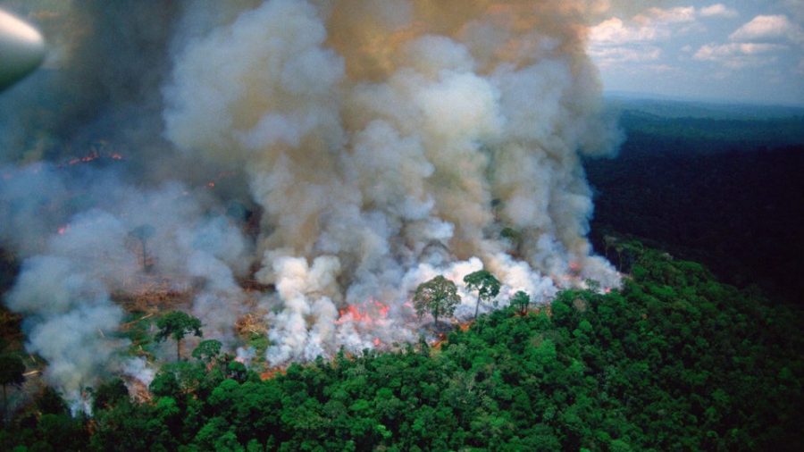 The Amazon Fire