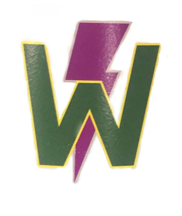 The team logo for the Liberty and West High swim team.