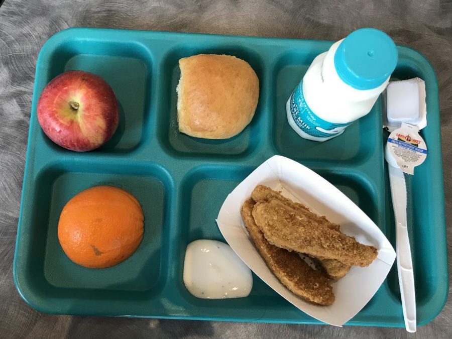 Image of Alexandra Hernandez, sophomore, every day lunch tray. 