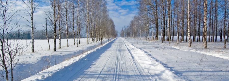 Driving+in+a+Winter+Wonderland