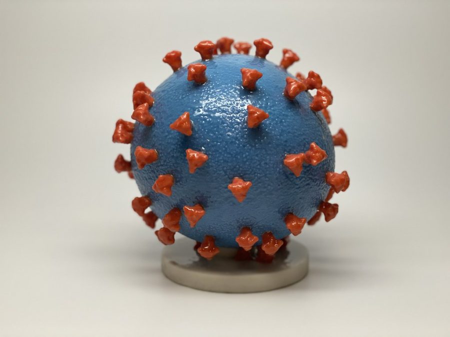 A photo of what Novel Coronavirus SARS particle looks like.