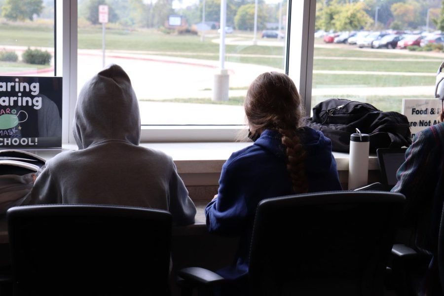 Two students spending their free periods in the library.