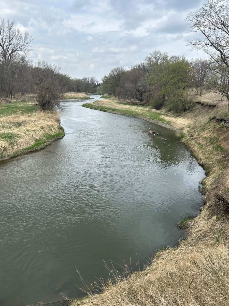 Racoon River, like many other bodies of water in Iowa, is polluted by over 750 factory farms (IPR).