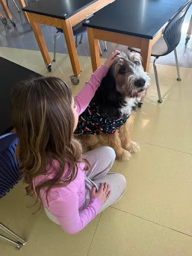 Dak is a trained therapy dog that students utilize in the classroom as a way to focus and learn. 
